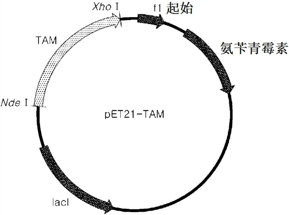 用于制備塔格糖的組合物以及從果膠制備塔格糖的方法與流程