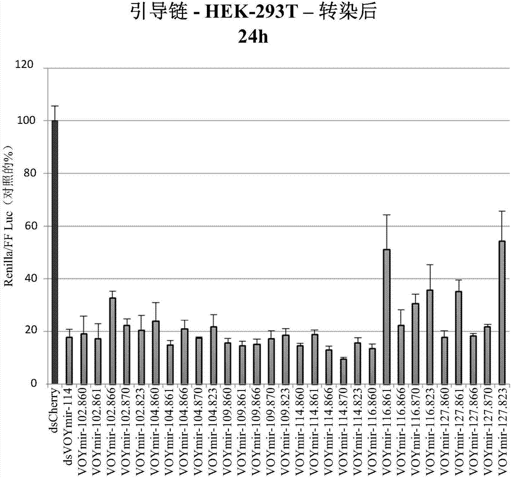 治疗肌萎缩性侧索硬化(ALS)的组合物和方法与流程