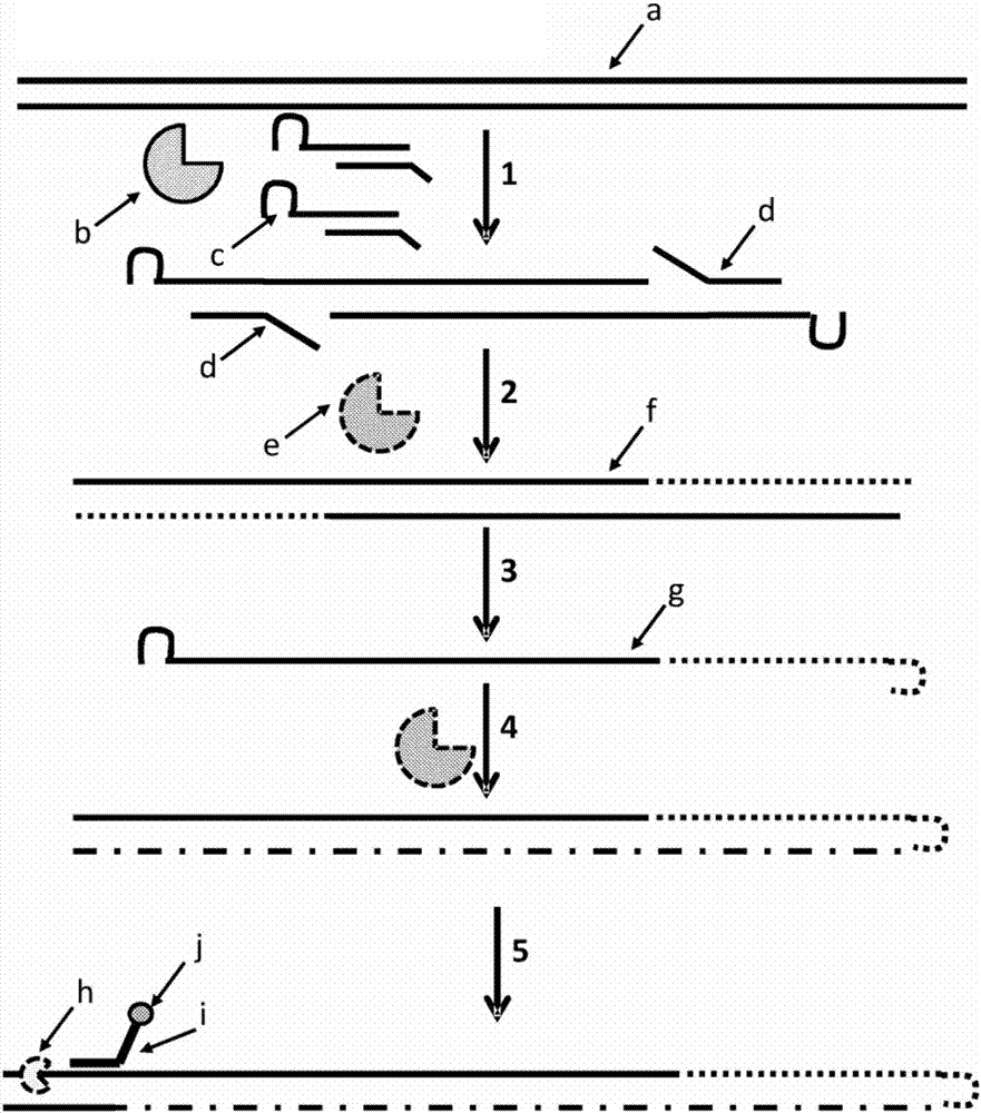 方法与流程