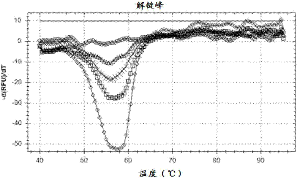 用于靶核酸多重檢測(cè)的雙重猝滅測(cè)定的制造方法與工藝