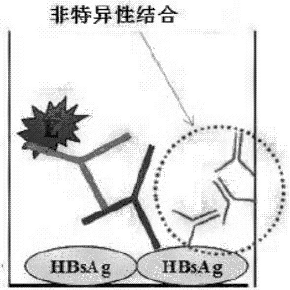 使用間接ELISA測量包含人FC的蛋白質(zhì)滴度的試劑盒及用其測量含人FC的蛋白質(zhì)滴度的方法與流程