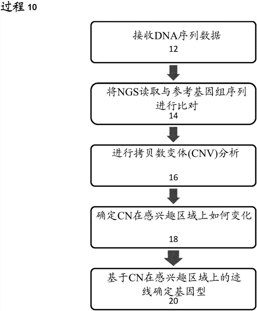 用于确定高同源性区域中的基因型的方法与流程