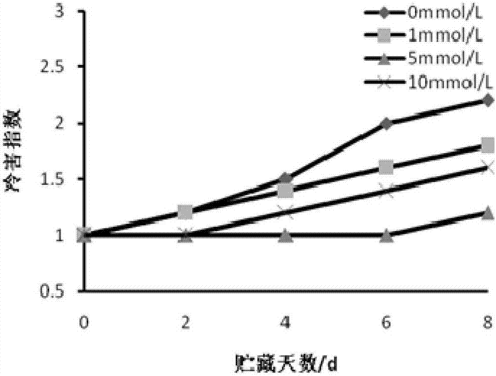 一种营养品质稳定的茄子和保持茄子果实营养品质稳定的处理方法与流程