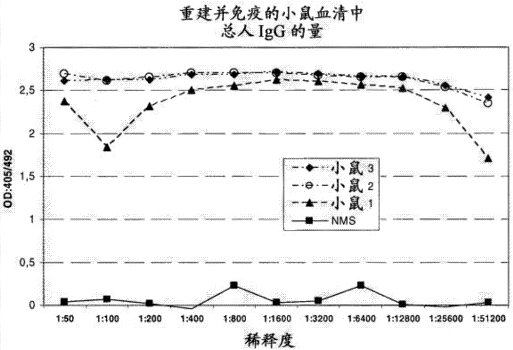 在用人胎兒肝干細(xì)胞注射的免疫缺陷動(dòng)物中產(chǎn)生抗體的方法與流程