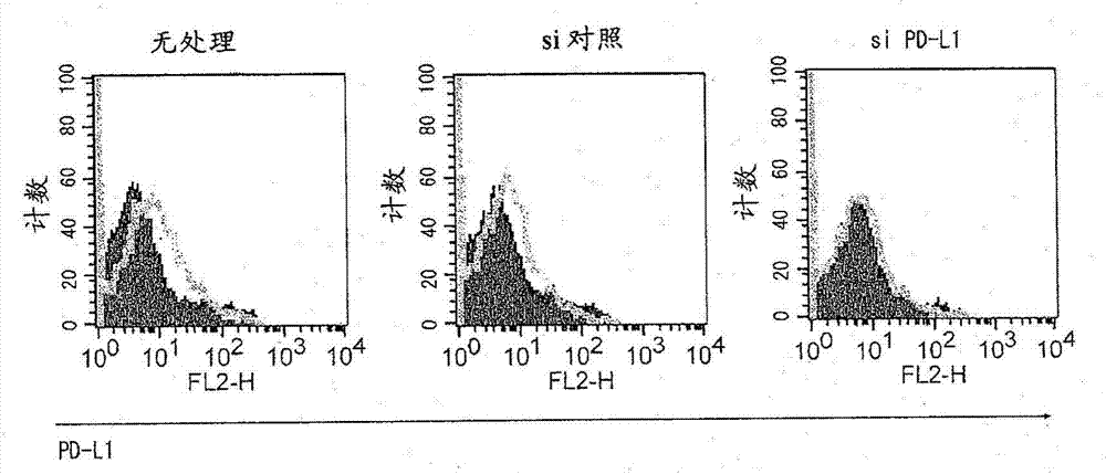 用于增強(qiáng)T細(xì)胞功能的方法與流程