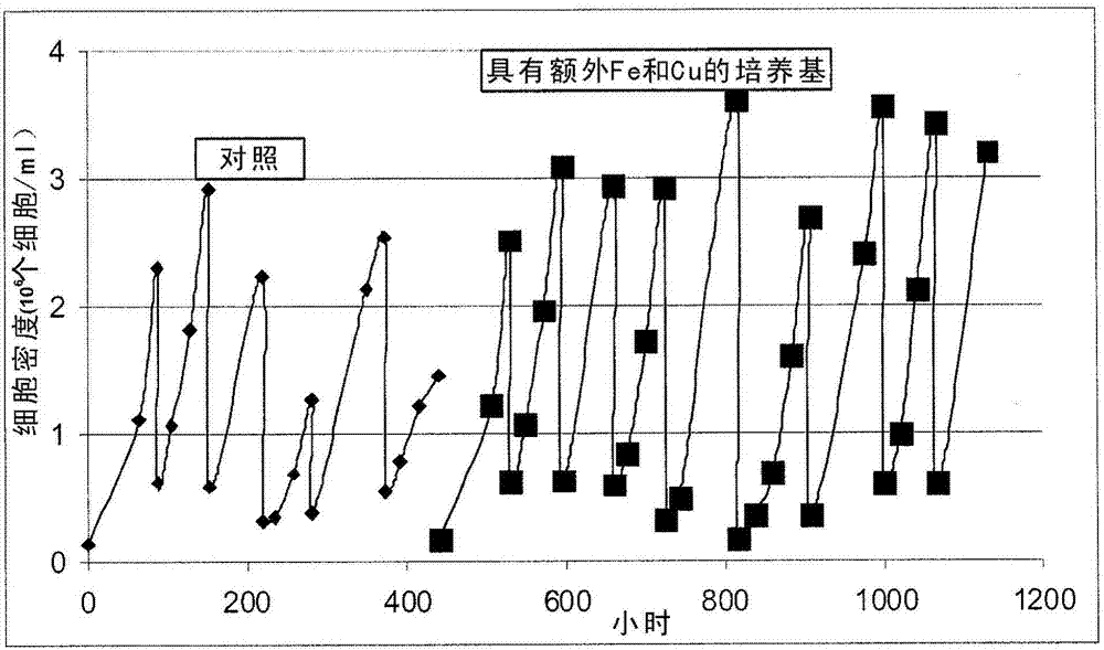 提高骨形成蛋白產(chǎn)量的方法與流程