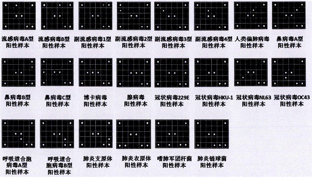 呼吸道常見病原體多重RT?PCR聯(lián)合基因芯片檢測(cè)試劑盒的制造方法與工藝