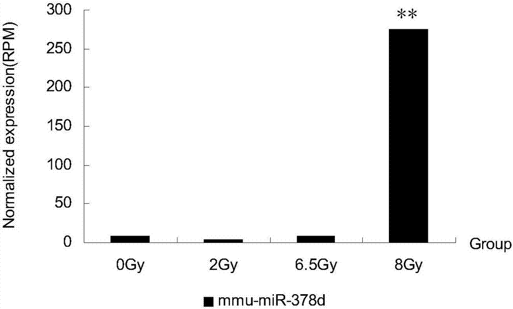 一种8Gy电离辐射的检测方法与流程