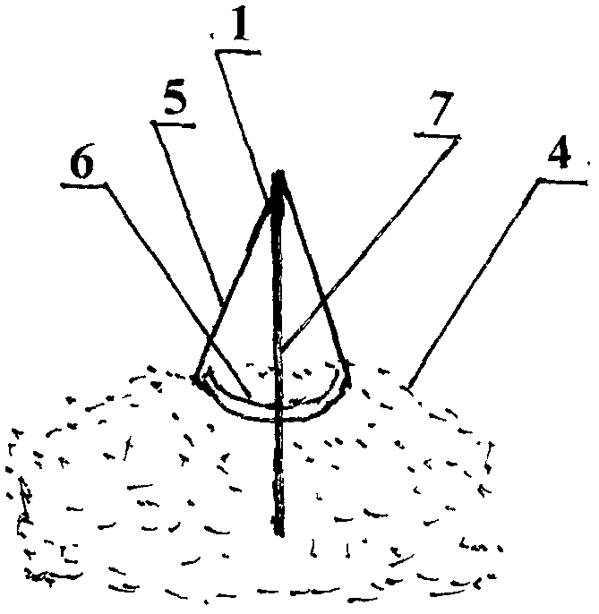 悬袋形沙障与点式弧形网沙埂结合的种植方法与流程