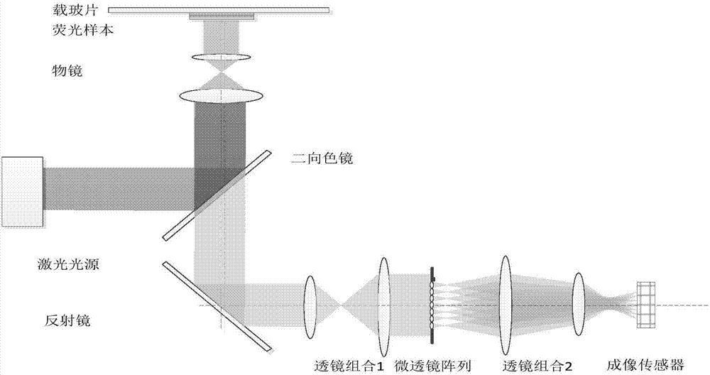 基于微透镜阵列的荧光样本层析显微成像方法与流程