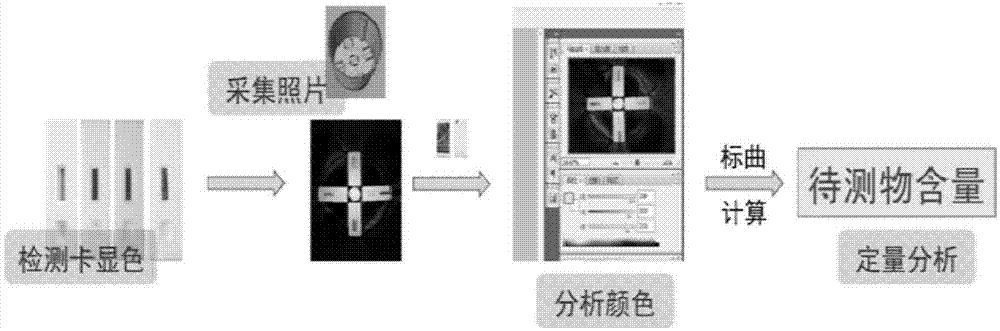 一種現場快速檢測食品中有害添加物的系統及檢測方法與流程