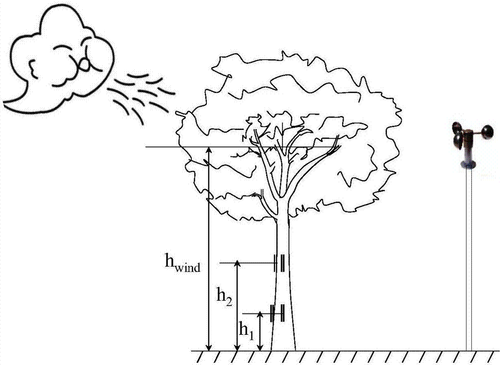 樹木風載荷測定方法與流程