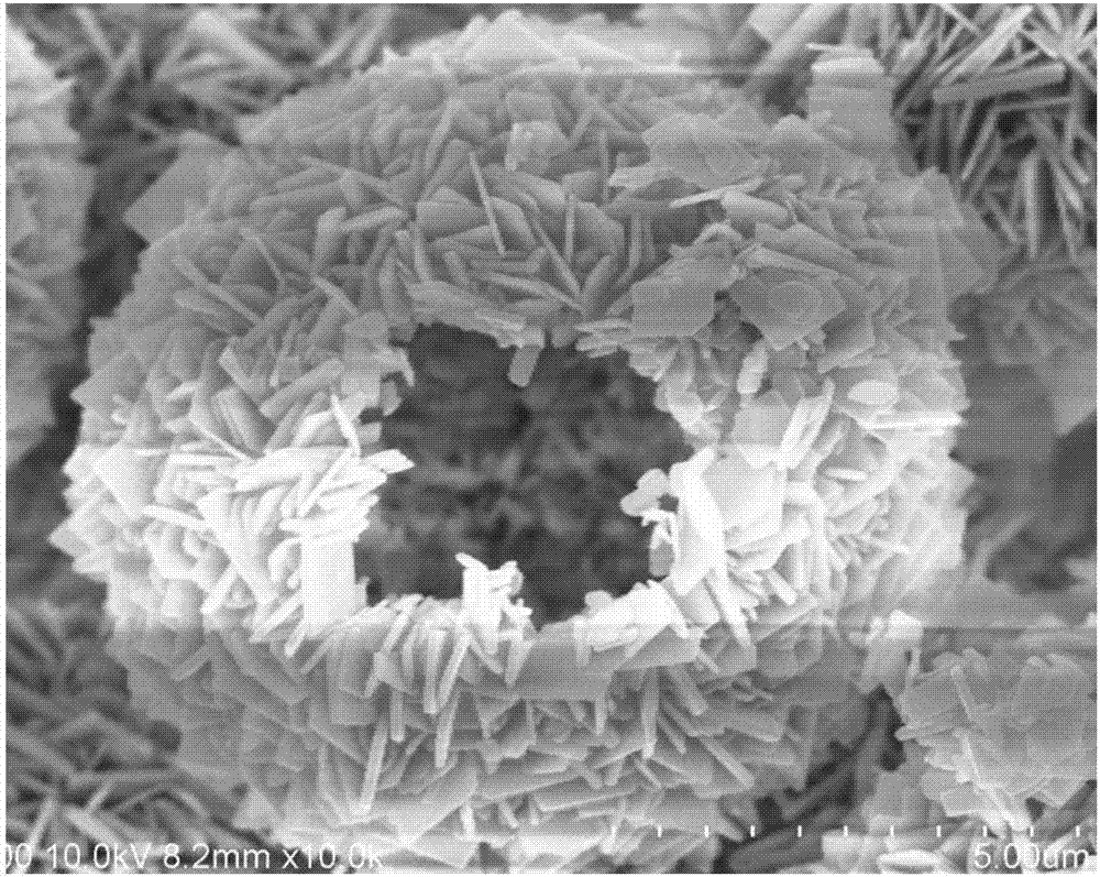 一种中空花状氢氧化镍微球复合材料及其制备方法与应用与流程