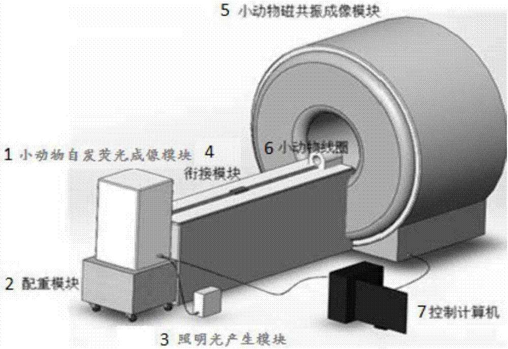 小動物自發(fā)熒光與磁共振雙模態(tài)分子融合成像系統(tǒng)和方法與流程