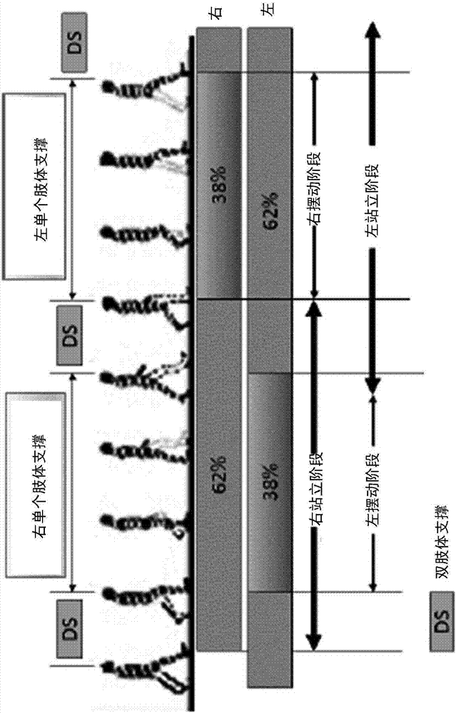用于分析人的步態(tài)和姿勢平衡的系統(tǒng)和方法與流程