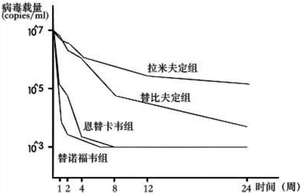 一種利用干細(xì)胞構(gòu)建的人源化乙型肝炎鼠模型及應(yīng)用的制造方法與工藝