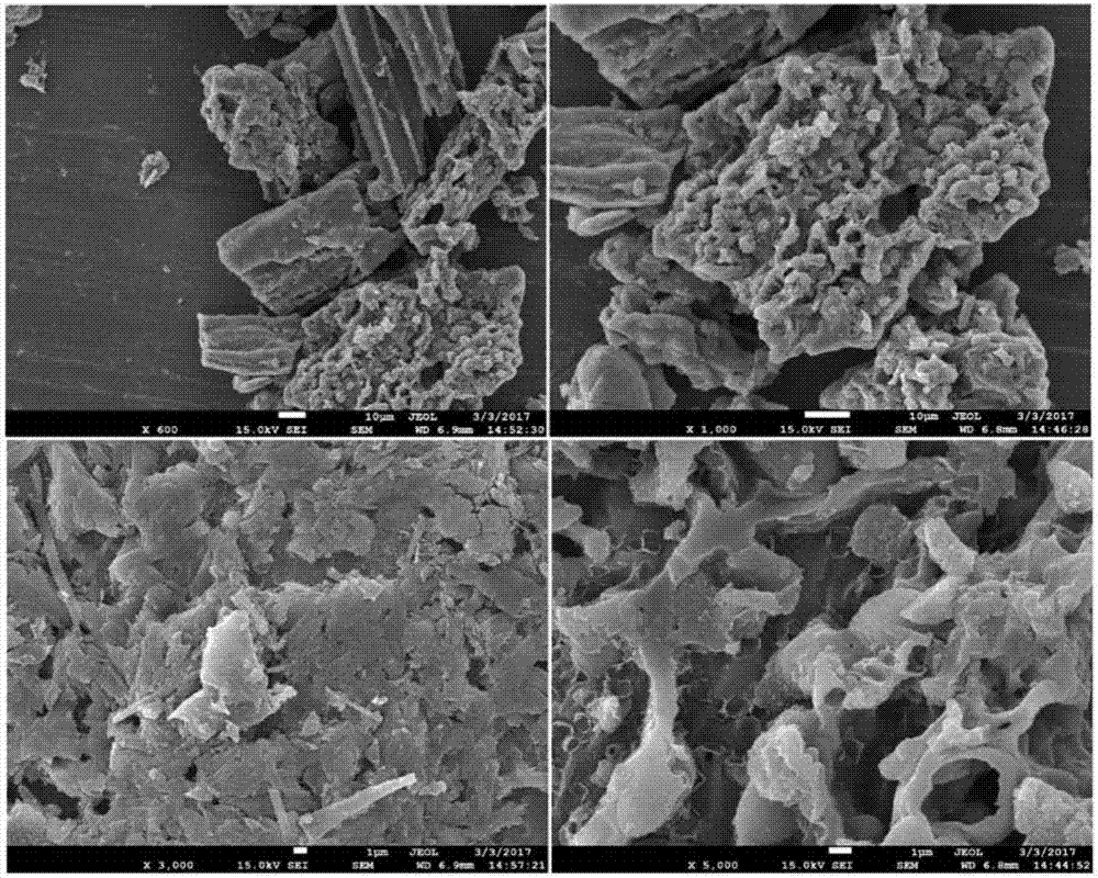 一種生物炭及其制備方法與應(yīng)用與流程