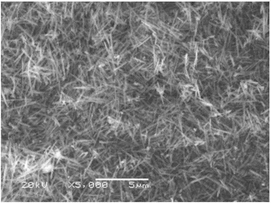 作为水系镁离子电池负极材料的水合铁钒氧化物的制备及应用方法与流程