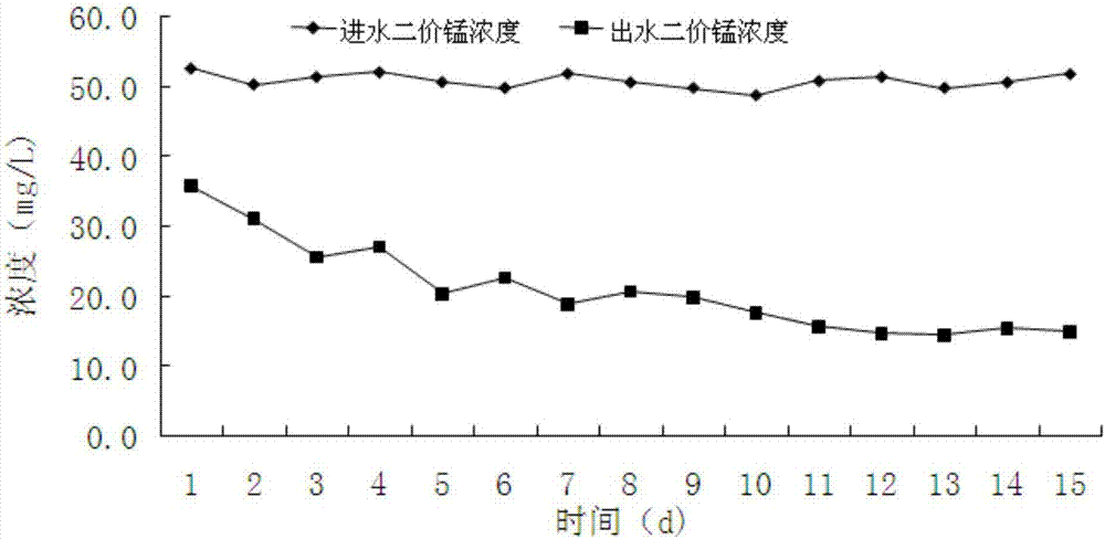 一种地下水中锰和硝酸盐同步去除方法与流程