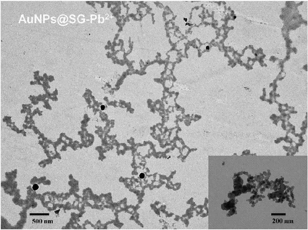 一种聚集诱导发光检测Pb2+的纳米簇复合底物AuNPs@(SG)X的制备方法与流程