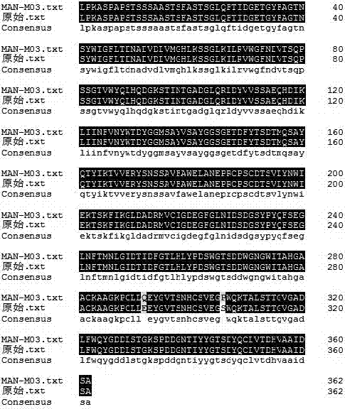 酶活性提高的β‑甘露聚糖酶突变体及其编码基因和应用的制造方法与工艺