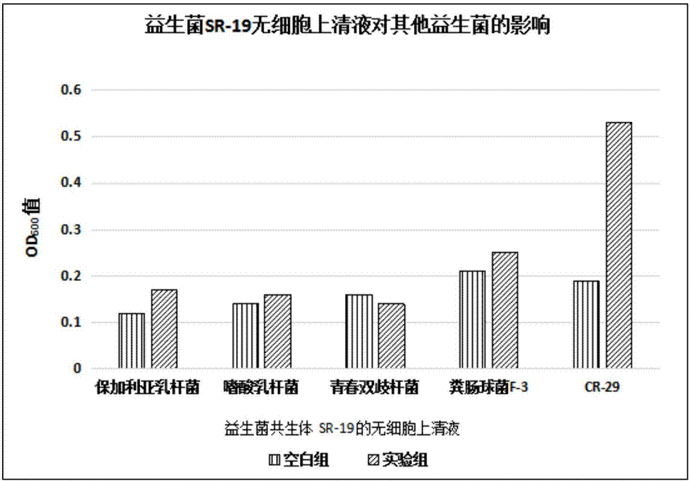 一種益生菌共生體、培養(yǎng)方法及應用與流程