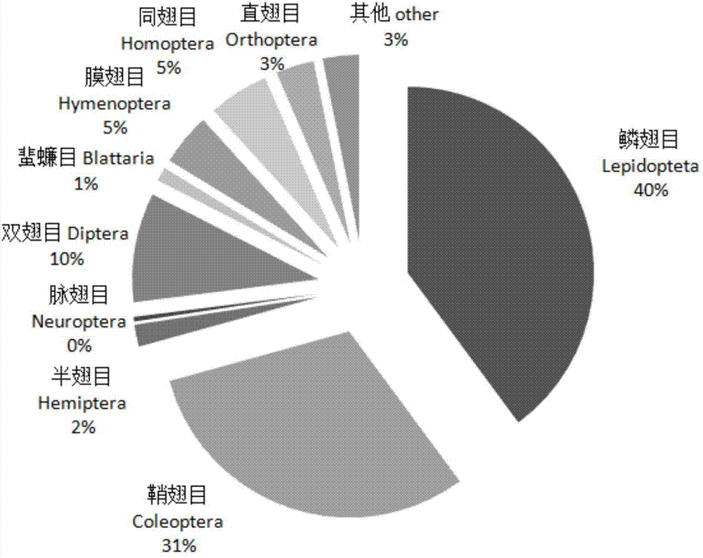 一種太陽能殺蟲燈在桑園昆蟲防控中的應(yīng)用的制造方法與工藝