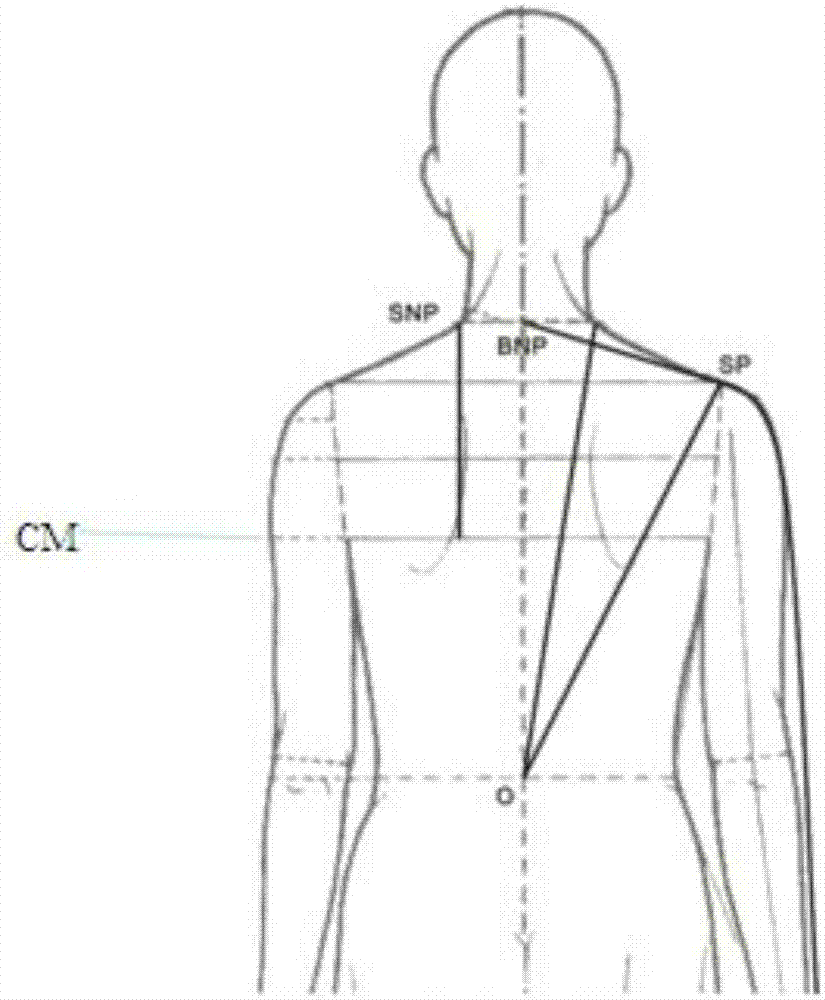 立面垂直定位装置及服装用三点一面人体平衡测量法的制造方法