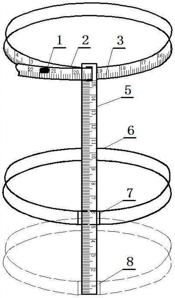 新型多功能上臂围自行测量专用尺的制作方法