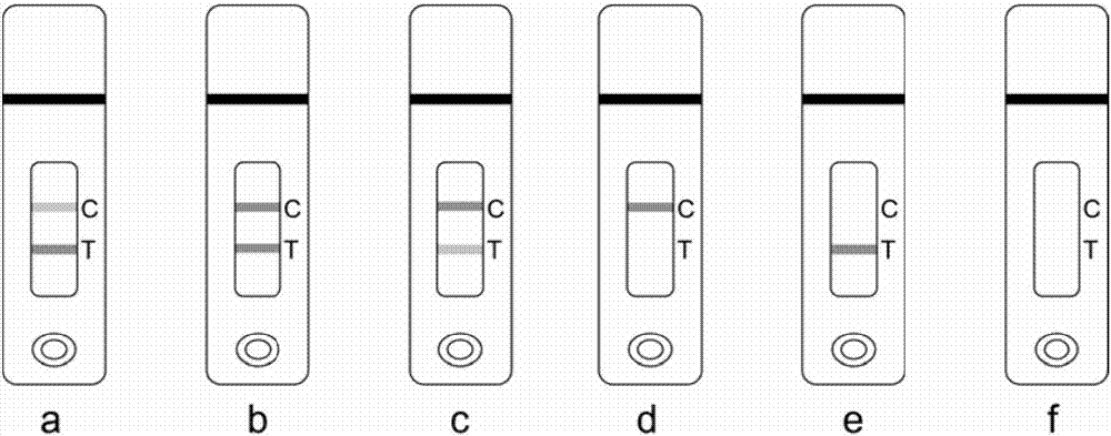 一种犬C反应蛋白胶体金免疫层析试纸条的制造方法与工艺