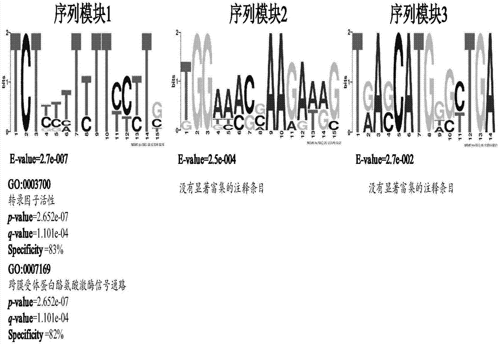 一种植物响应逆境胁迫的lncRNAs序列模块功能注释方法与流程