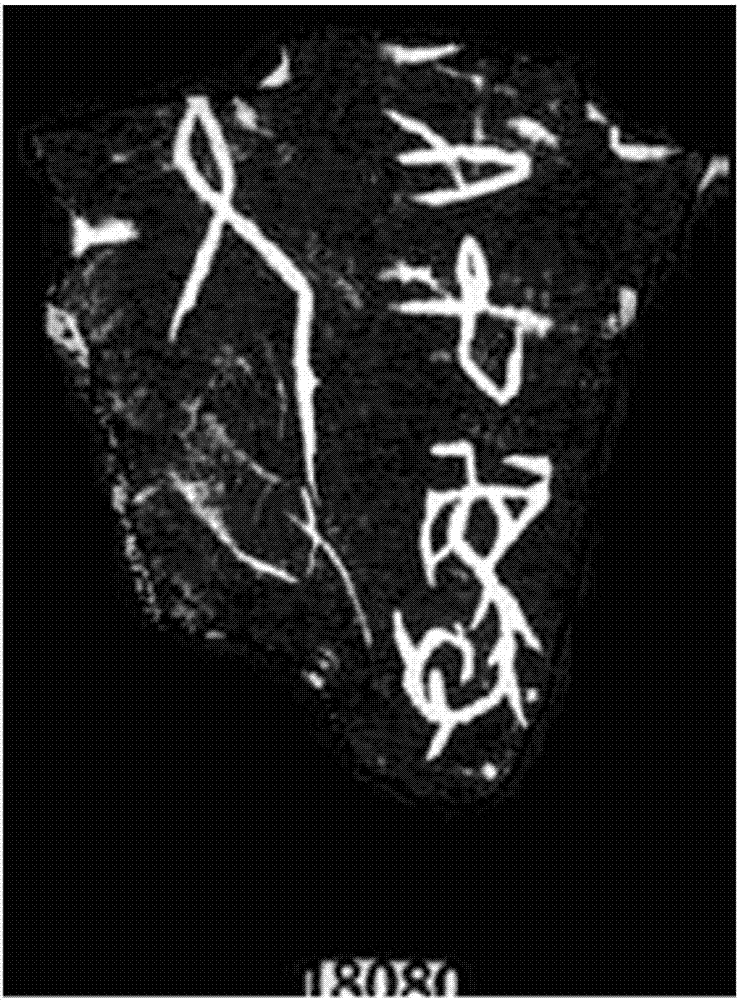 基于多方法去噪和连通区域分析的甲骨拓片单字定位方法与流程