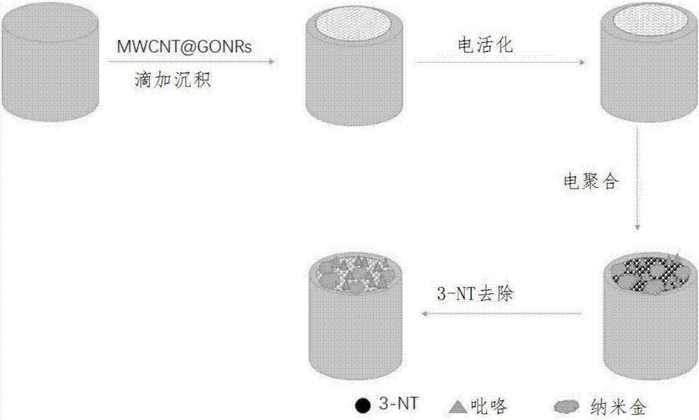 3?硝基酪氨酸的分子印跡電化學(xué)傳感器的制備及應(yīng)用的制造方法與工藝