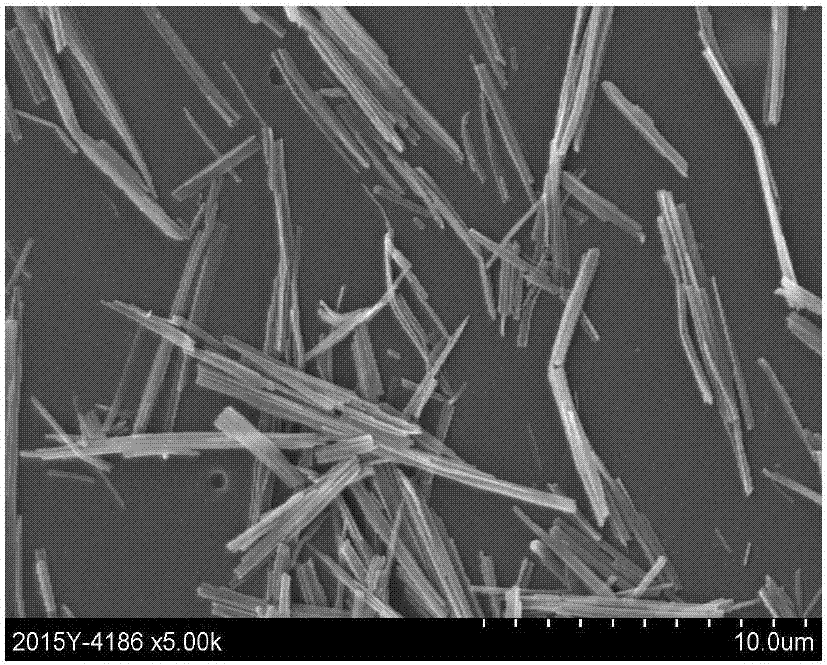 一种银盐成像材料中山嵛酸银晶体形貌检测方法与流程