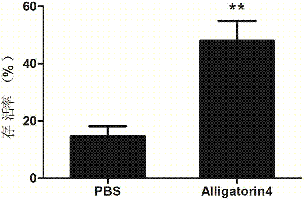 天然宿主防御肽Alligatorin4的应用的制造方法与工艺