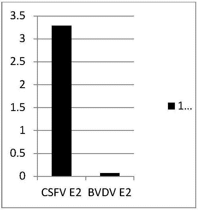 一種抗豬瘟病毒E2蛋白單克隆抗體細(xì)胞株及其應(yīng)用的制造方法與工藝