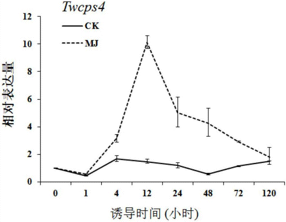 雷公藤焦磷酸合酶TwCPS4及其制備松香烷型二萜化合物的應(yīng)用的制造方法與工藝