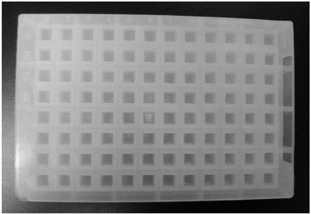 一种96孔板磁珠提取口腔拭子DNA的方法与流程