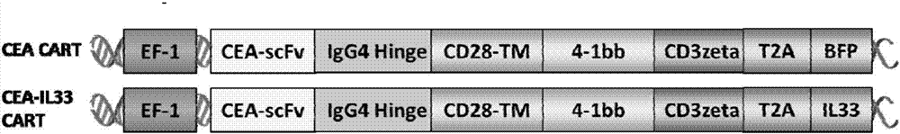 CAR.IL?33?T及其制備與應用的制造方法與工藝