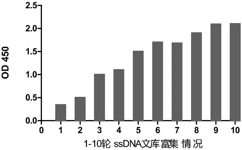 一種特異性結(jié)合新城疫病毒的核酸適配體及其篩選方法和應(yīng)用與流程