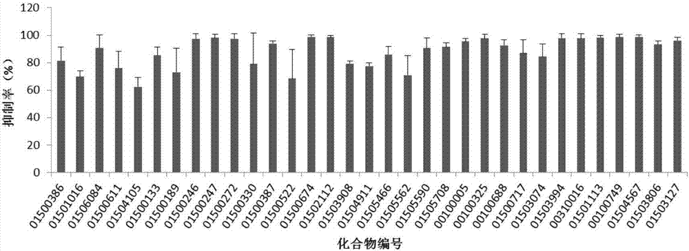 一種抗呼吸道合胞病毒藥物的高通量篩選方法和應(yīng)用與流程