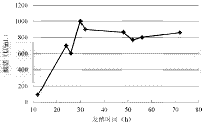 高產(chǎn)普魯蘭酶的重組枯草芽孢桿菌的構(gòu)建方法與流程