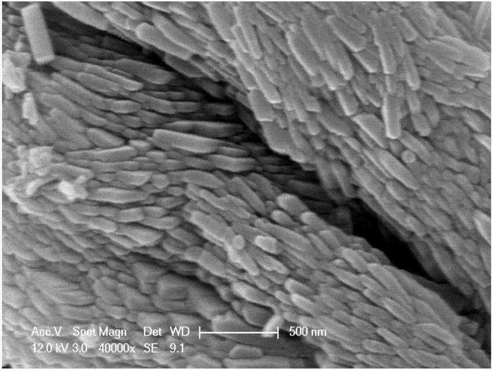 具有纳米片－微米球二级结构的磷酸铁晶体的制备方法与流程