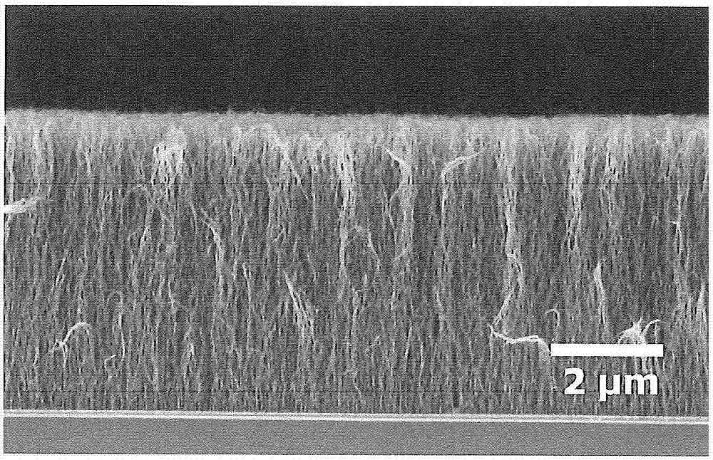 包含具有密集部分和稀疏部分的单层碳纳米管的膜以及具有该膜的材料的制造方法与工艺