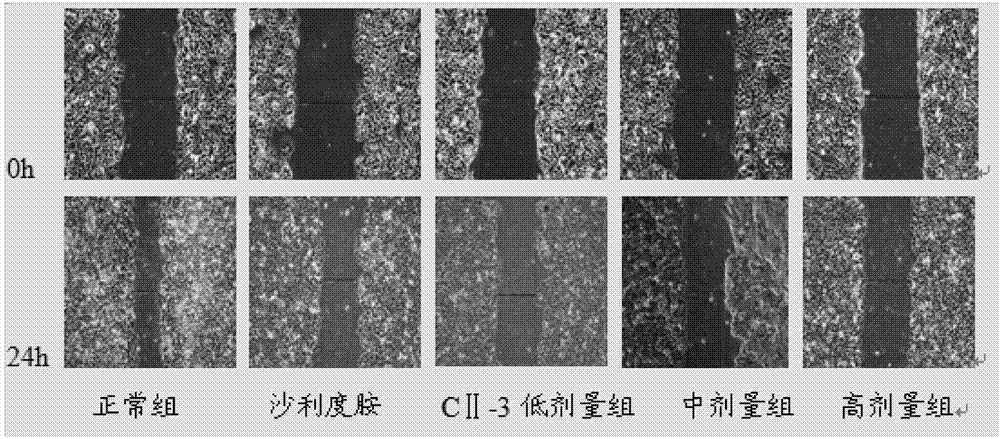 一種具有抗肝癌活性的美蠊肽C及其應(yīng)用的制造方法與工藝