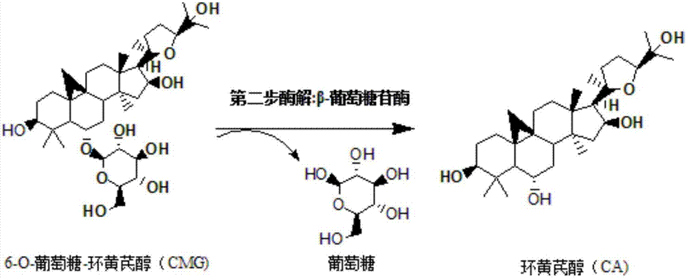 一种利用两步酶解法转化黄芪甲苷制备环黄芪醇的方法与流程