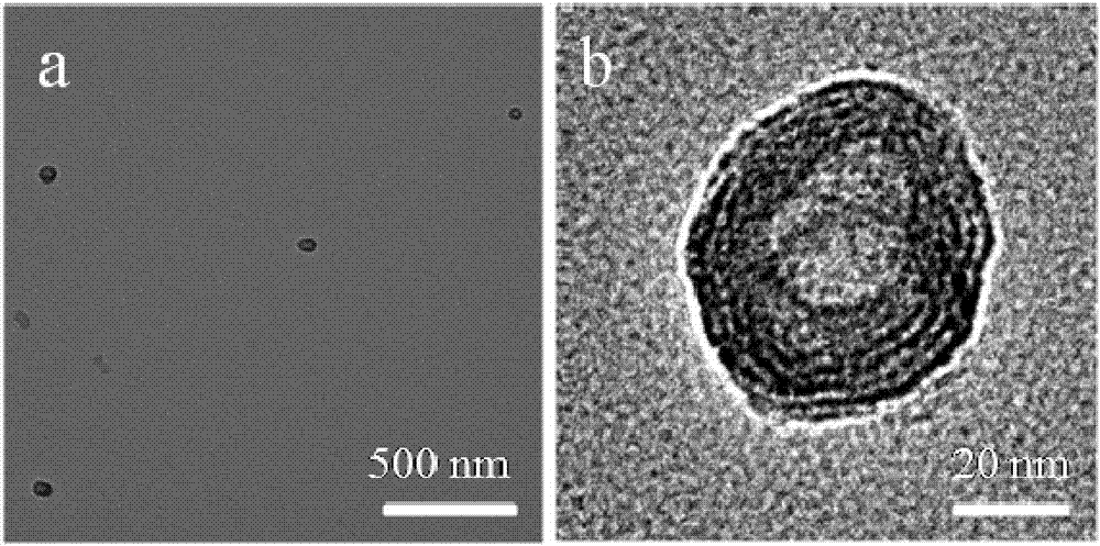 一种银纳米簇荧光囊泡及其制备方法与检测Fe3+的应用与流程