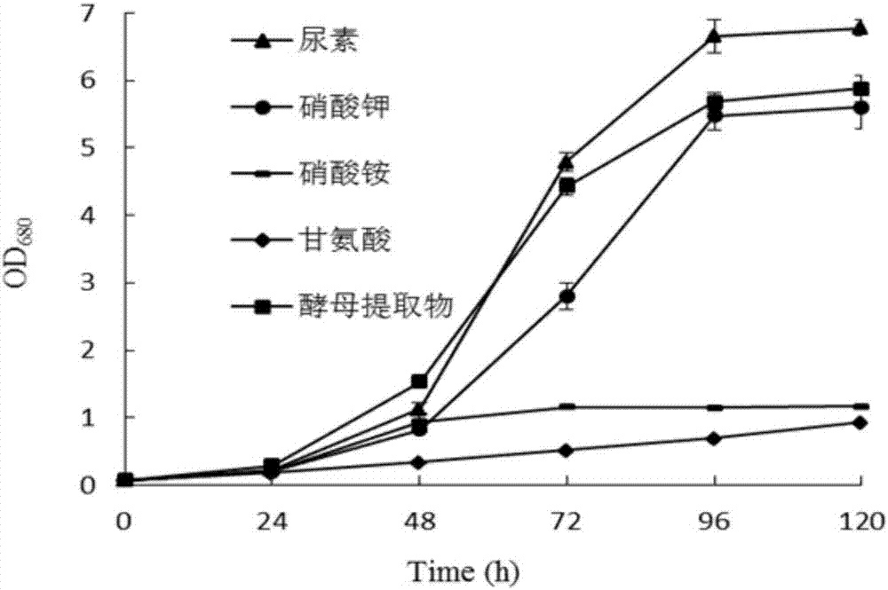 一種具有高GLA含量的柵藻、其培養(yǎng)方法及其應(yīng)用與流程