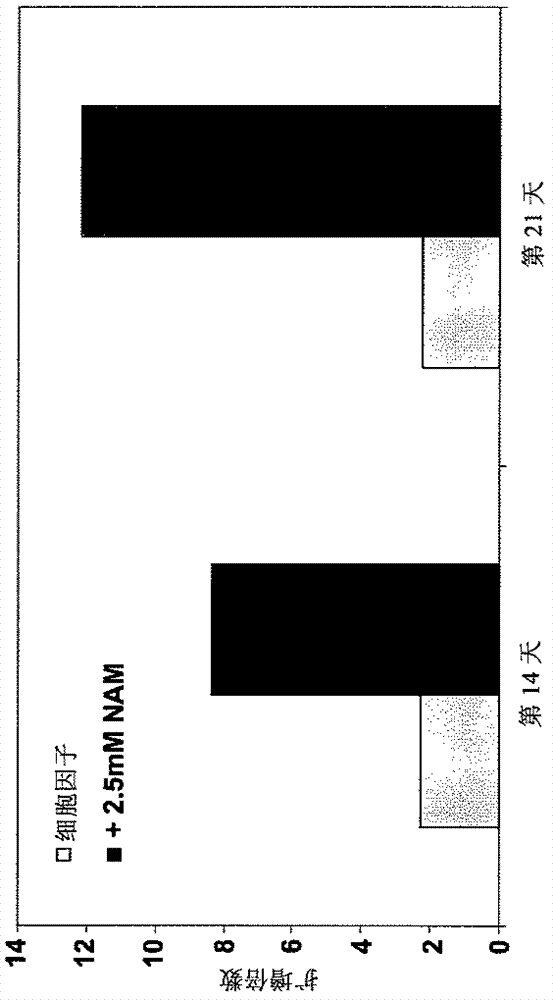 增强自然杀伤细胞增殖和活性的方法与流程