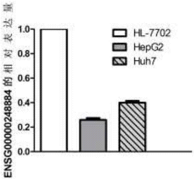 一种肝癌的生物标记物ENSG00000248884及其应用的制造方法与工艺